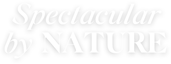 Spectaculaire de nature